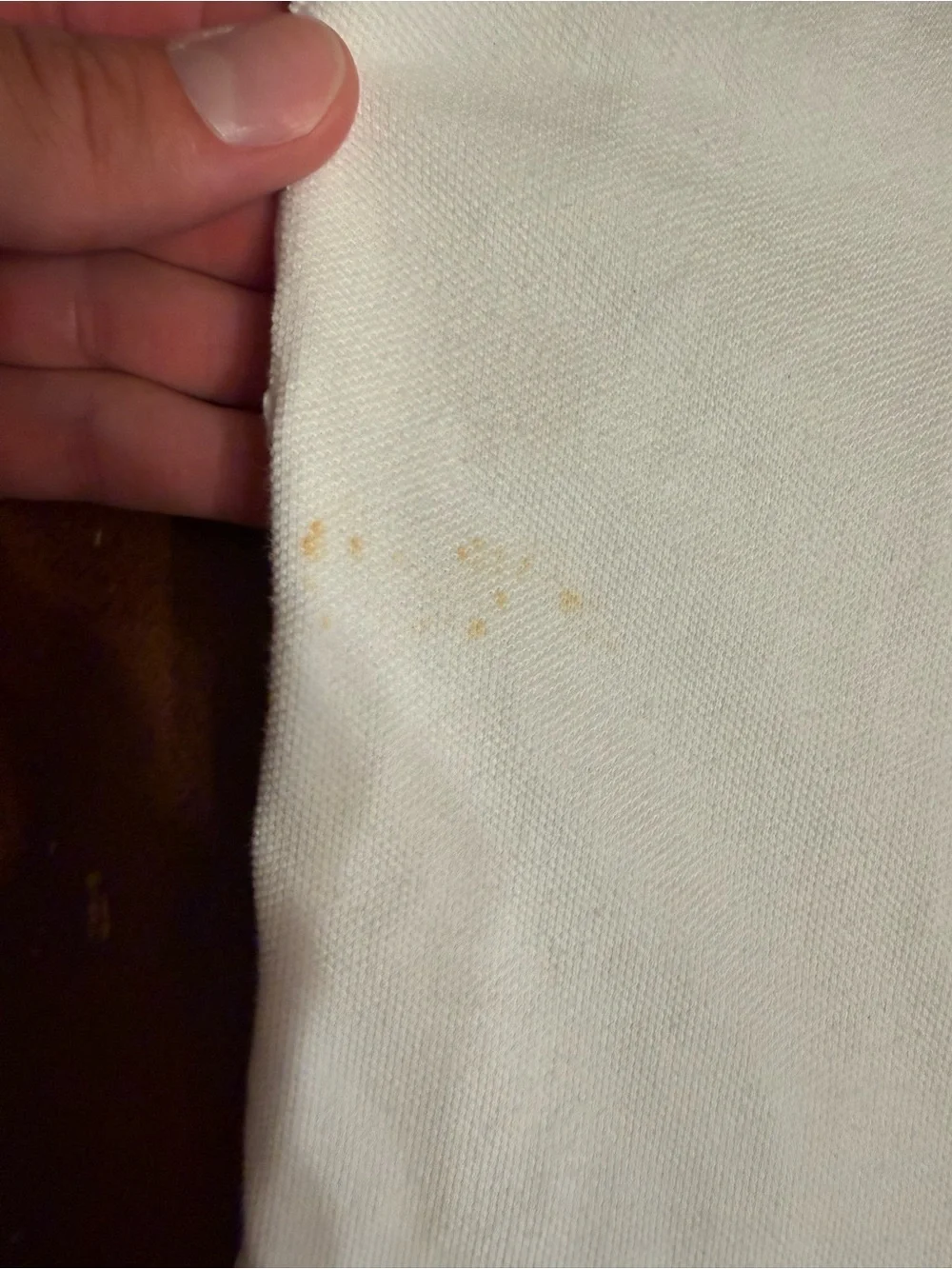 Polo by Ralph Lauren Big Pony USA Polo (2000s-2010s)
